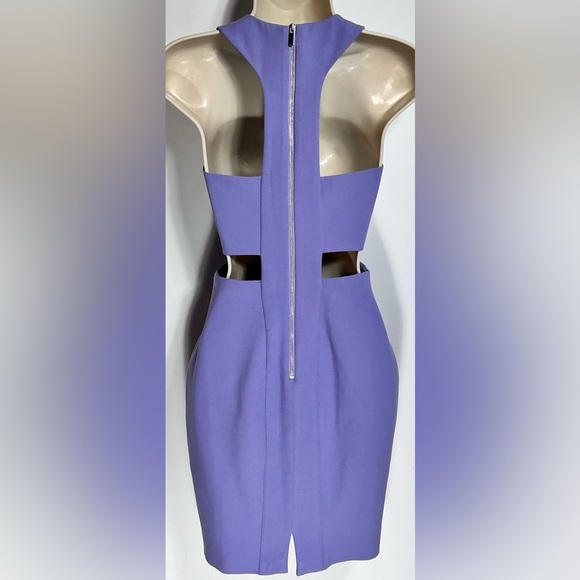 ELIZABETH & JAMES Phoenix Jersey Dress - Picture 4 of 5